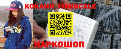 бошки Кингисепп