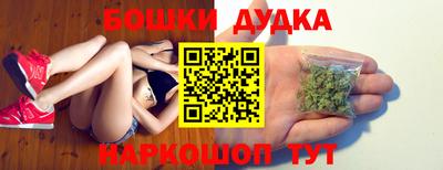 бошки Кингисепп