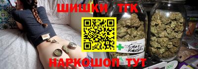 бошки Кингисепп