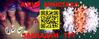 бошки Кингисепп