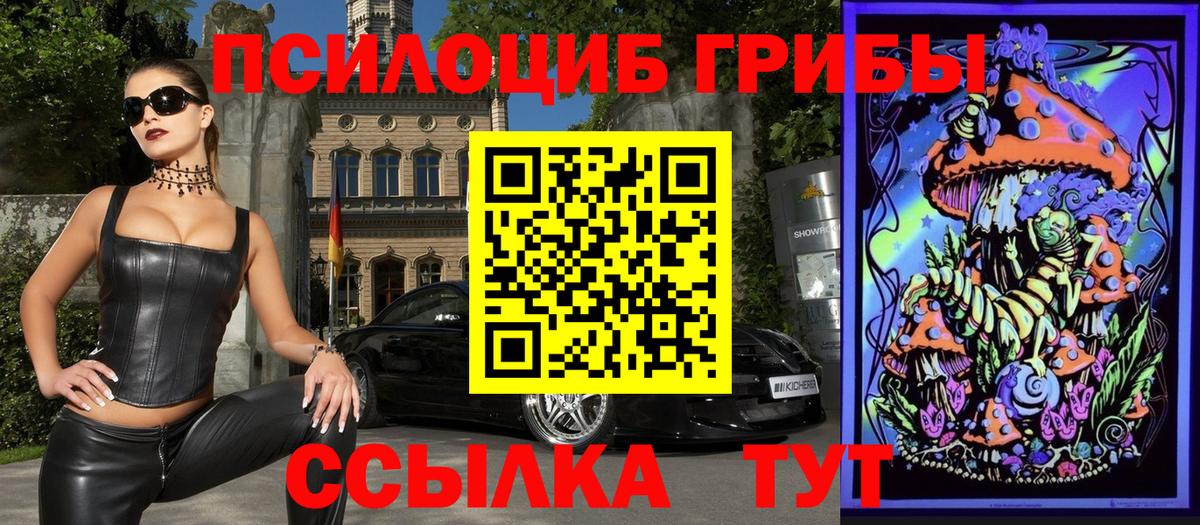 Галлюциногенные грибы GOLDEN TEACHER  Вход с VPN  Галлюциногенные грибы прущие грибы  Чапаевск 